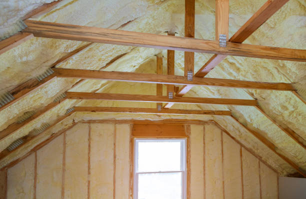 Best Eco-Friendly Insulation in Lackawanna, NY